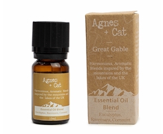 Agnes + Cat Helvellyn