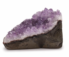 Amethyst standing cluster
