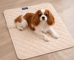 Norstar Magnetic Pad