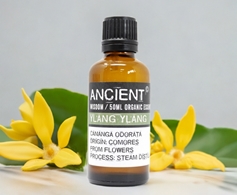 Ancient Wisdom organic essential oil ylang ylang