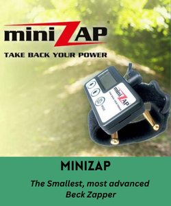 beck minizap pulser zapper