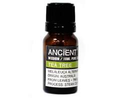 essential oils tea tree